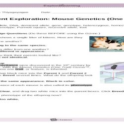 Mouse genetics gizmo one trait answer key