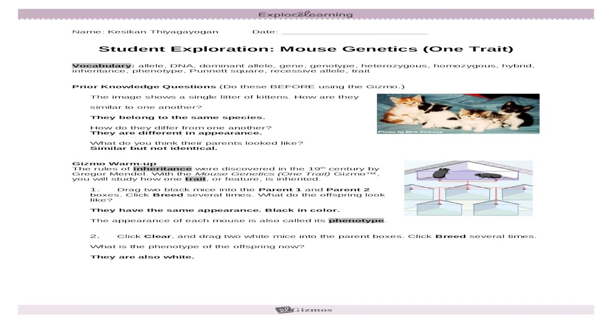 Mouse genetics gizmo one trait answer key