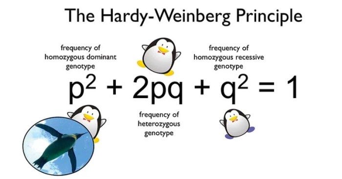 Alien evolution a hardy weinberg adventure