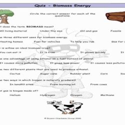 Bill nye garbage worksheet answer key pdf