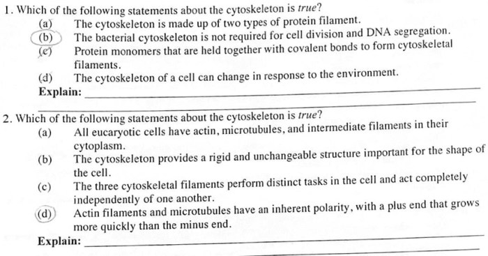 Which of the following statements about the cytoskeleton is correct